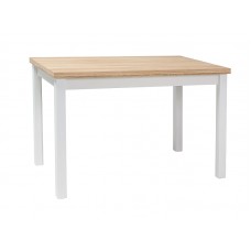Galds ADAM 60X100