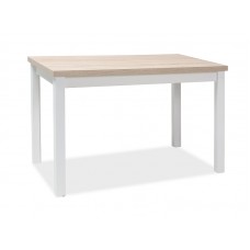 Galds ADAM 60X100