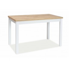 Galds ADAM 60X100