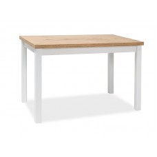 Galds ADAM 68X120