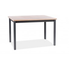 Galds ADAM 68X120