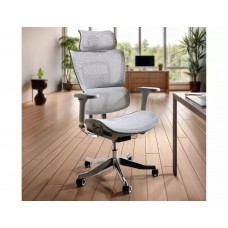Ergonomisks datorkrēsls WINNER LUX pelēks